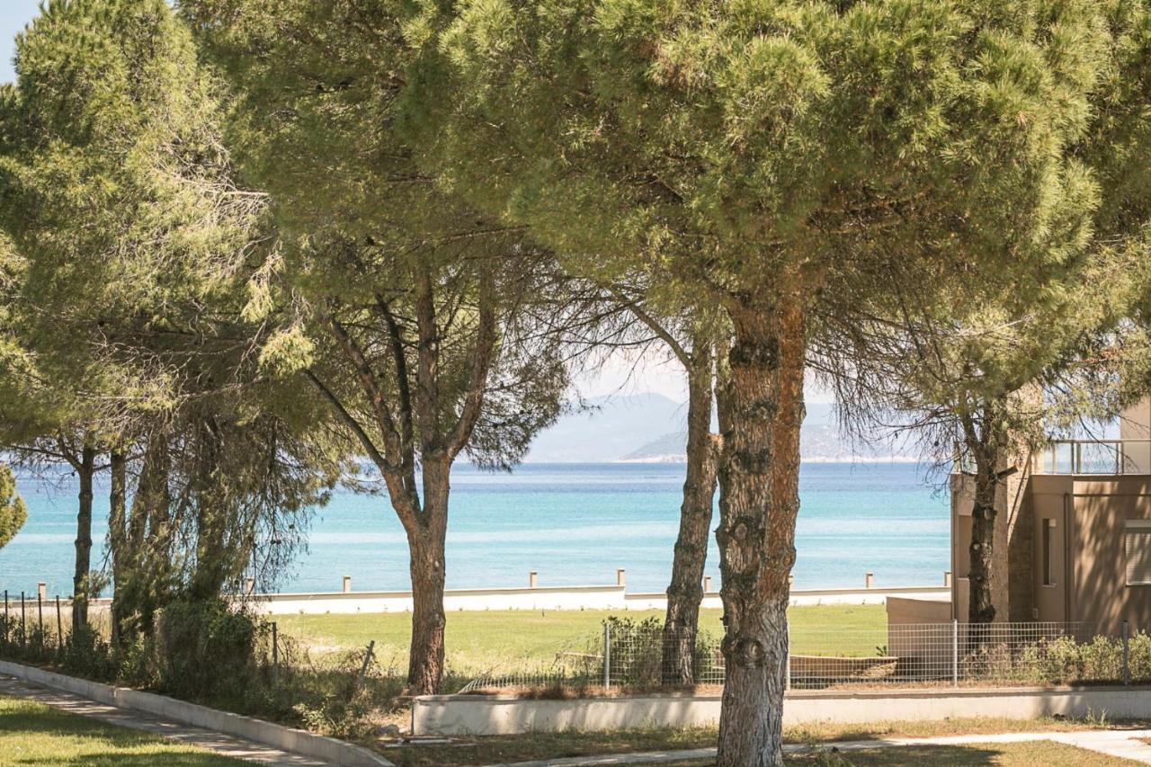 #Flh - Amalthia & Αthena Beachfront Houses In Pefkohori Exteriér fotografie